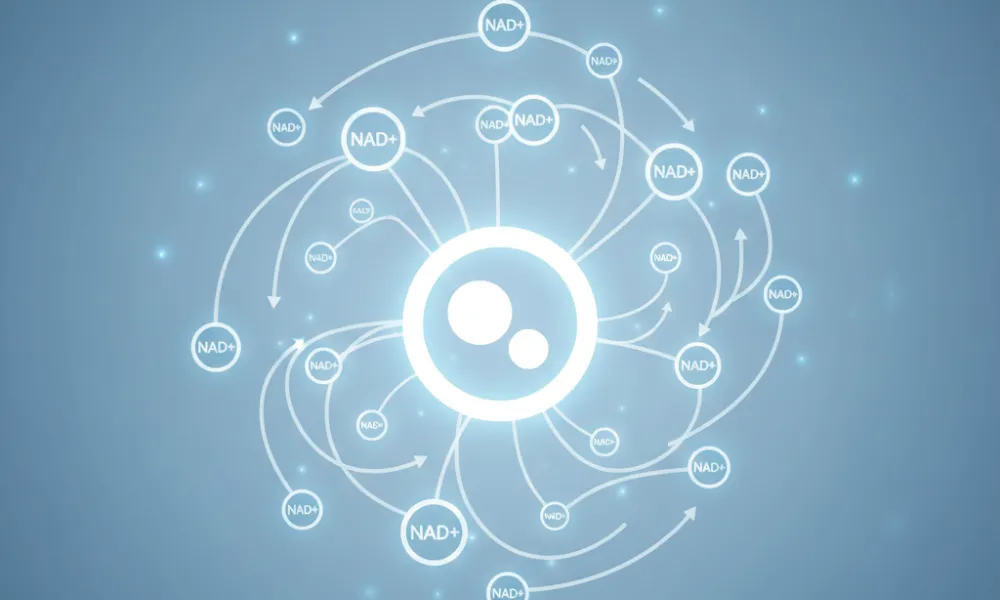How Tmates Products Work