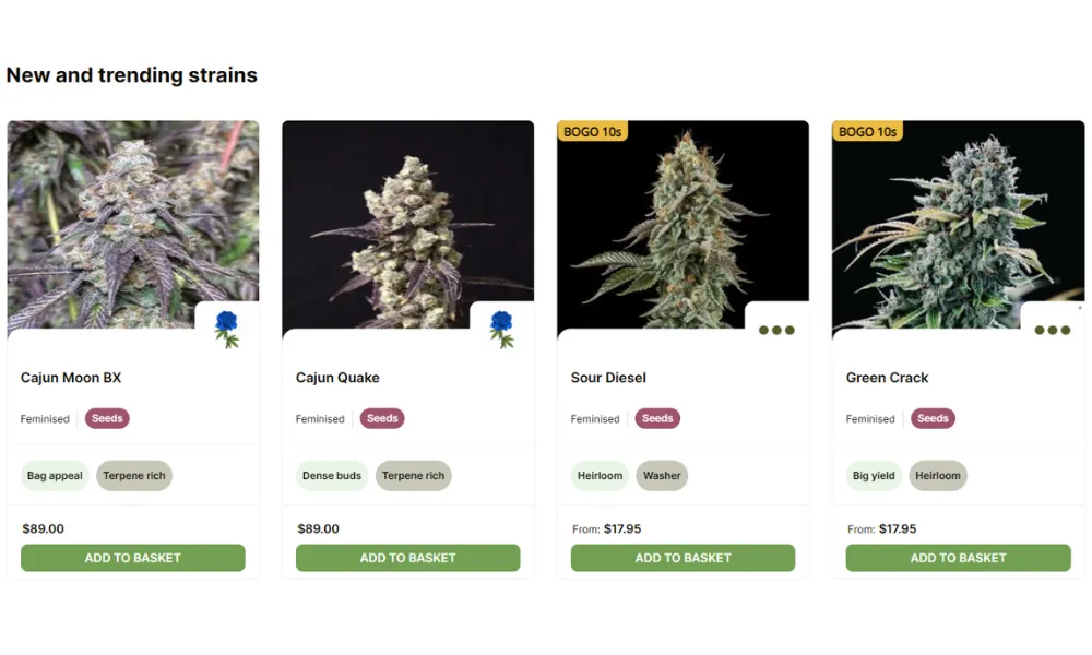 Sensi Seeds’s Pricing and Overall Value