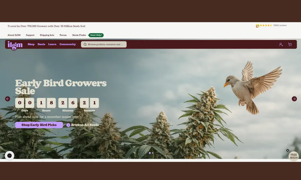 Top 3 Seed Banks 2026 – What Is ILGM